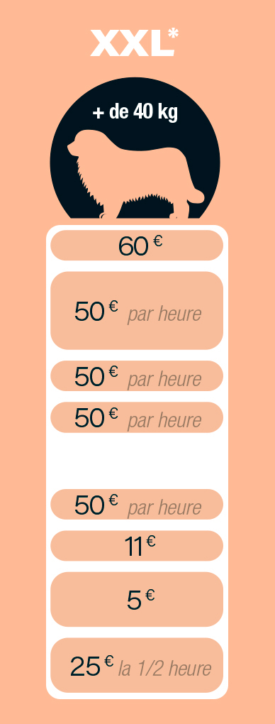BulldePoil_Tarif_Chien_0000_Sans-titre-1_07