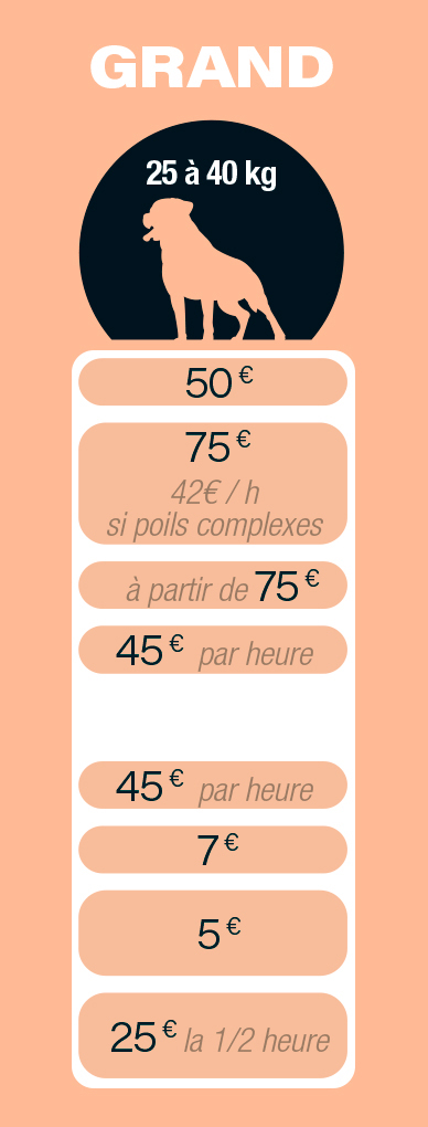 BulldePoil_Tarif_Chien_0001_Sans-titre-1_06