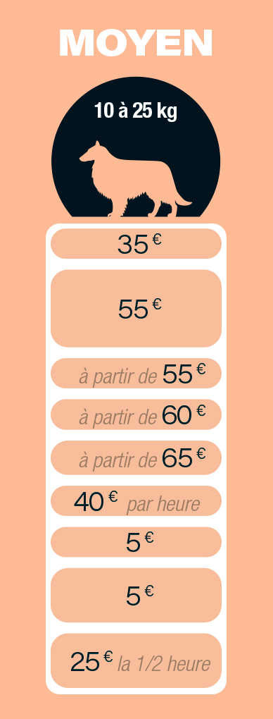 BulldePoil_Tarif_Chien_0002_Calque 2 copie