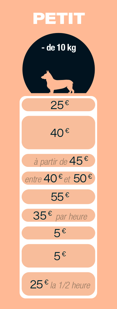 BulldePoil_Tarif_Chien_0003_Calque 2